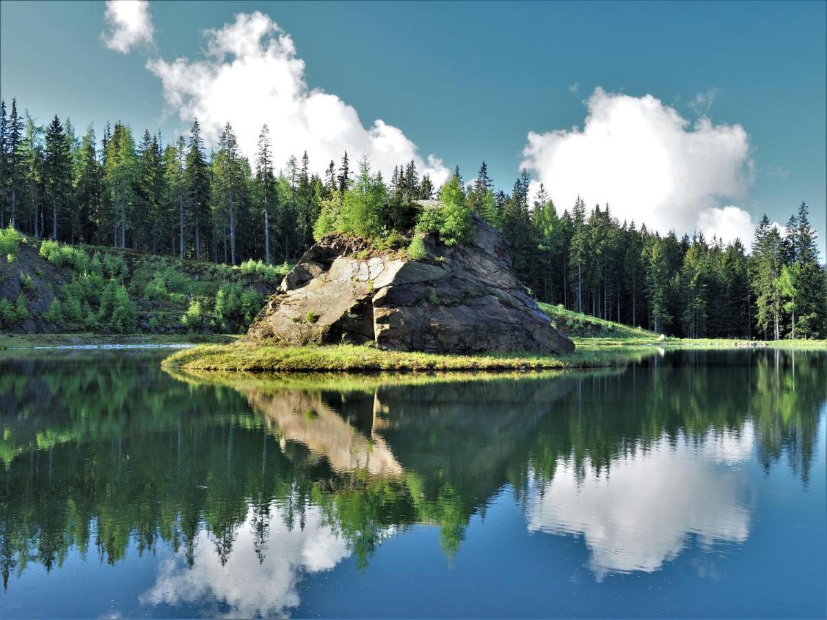 Naturforsthaus Gartenblick Fuer Hunde - Und Naturverbundene Menschen Preitenegg Екстер'єр фото