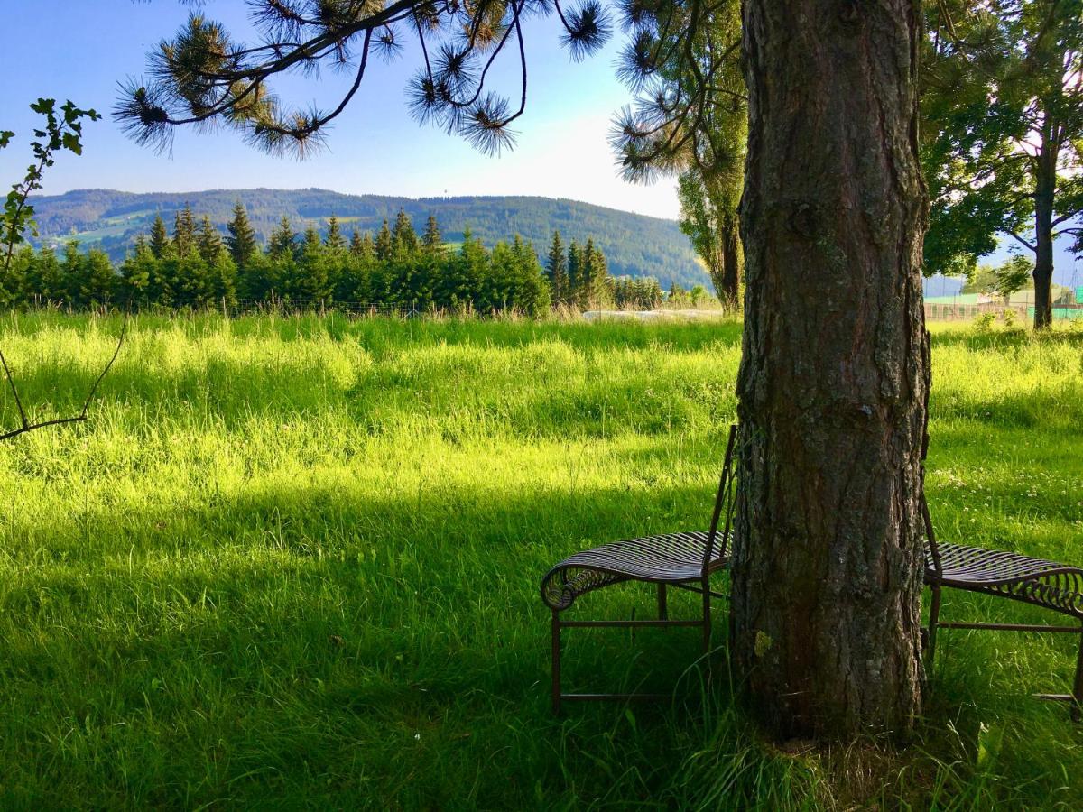 Naturforsthaus Gartenblick Fuer Hunde - Und Naturverbundene Menschen Preitenegg Екстер'єр фото