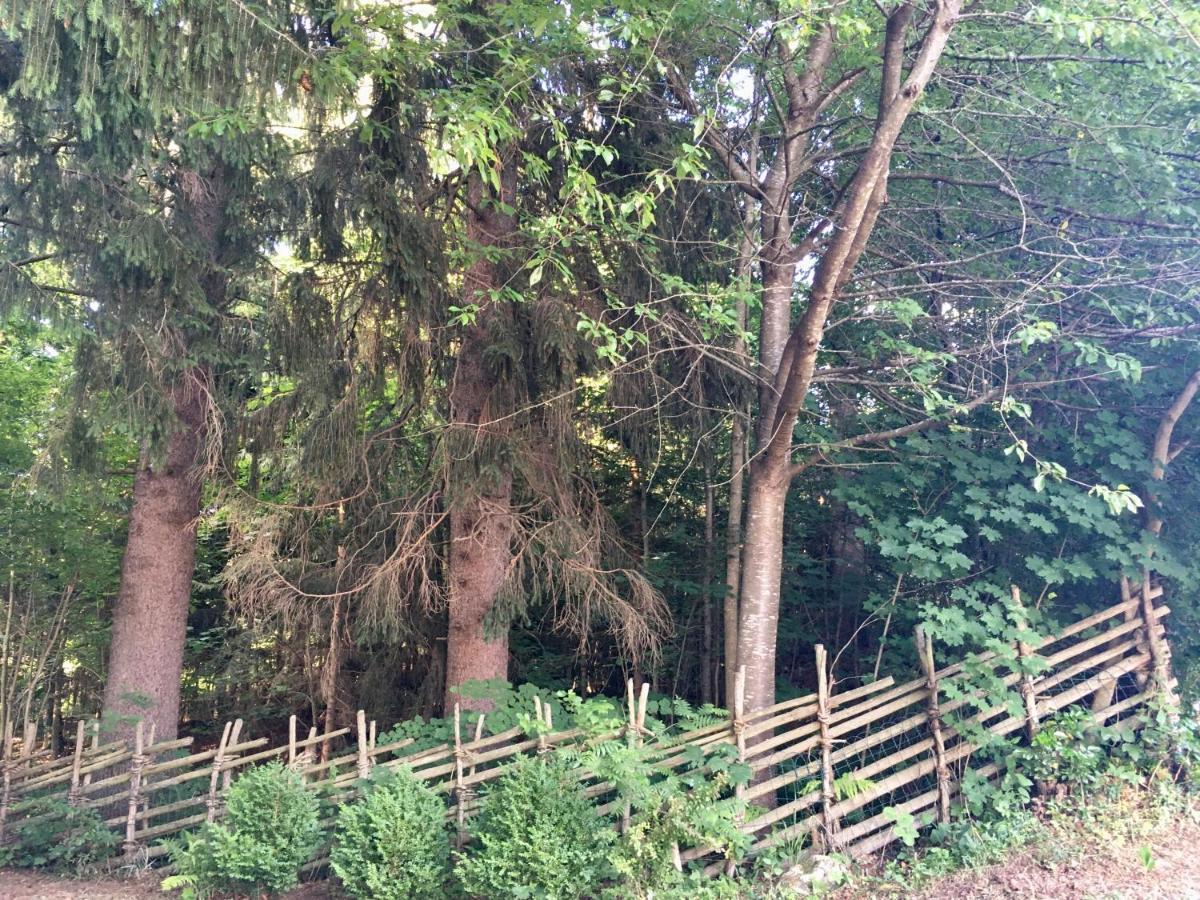 Naturforsthaus Gartenblick Fuer Hunde - Und Naturverbundene Menschen Preitenegg Екстер'єр фото