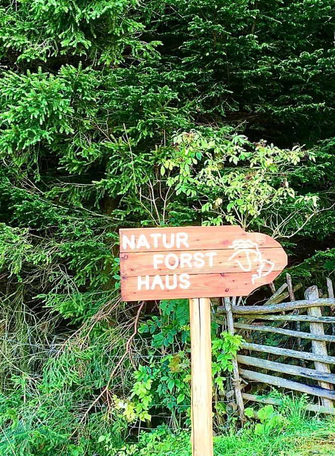 Naturforsthaus Gartenblick Fuer Hunde - Und Naturverbundene Menschen Preitenegg Екстер'єр фото