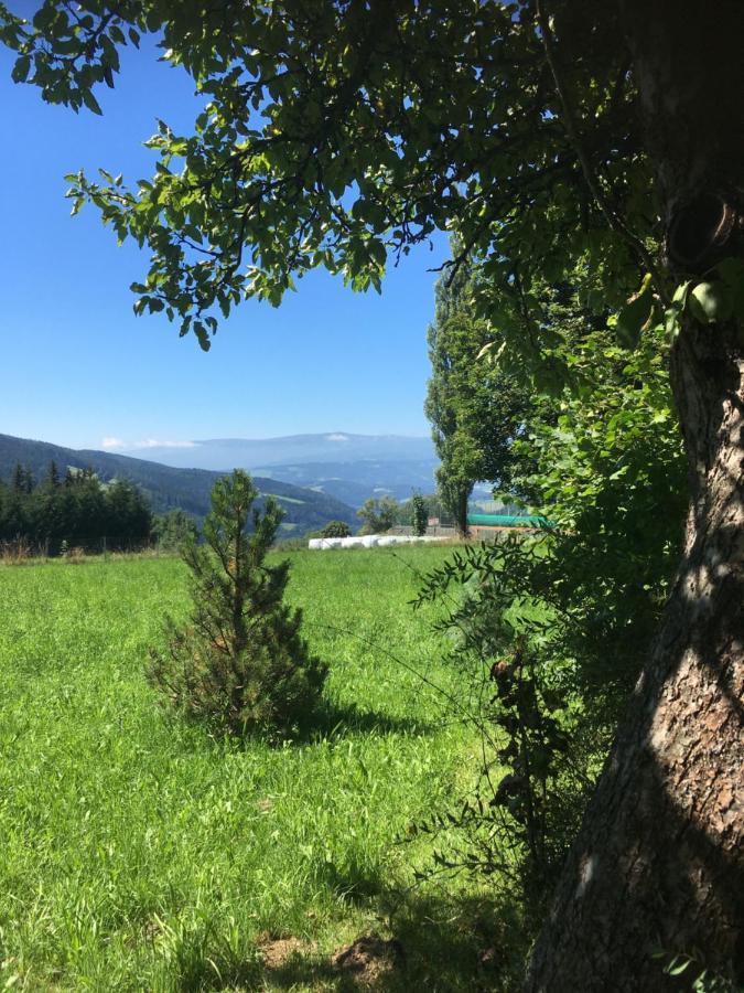 Naturforsthaus Gartenblick Fuer Hunde - Und Naturverbundene Menschen Preitenegg Екстер'єр фото