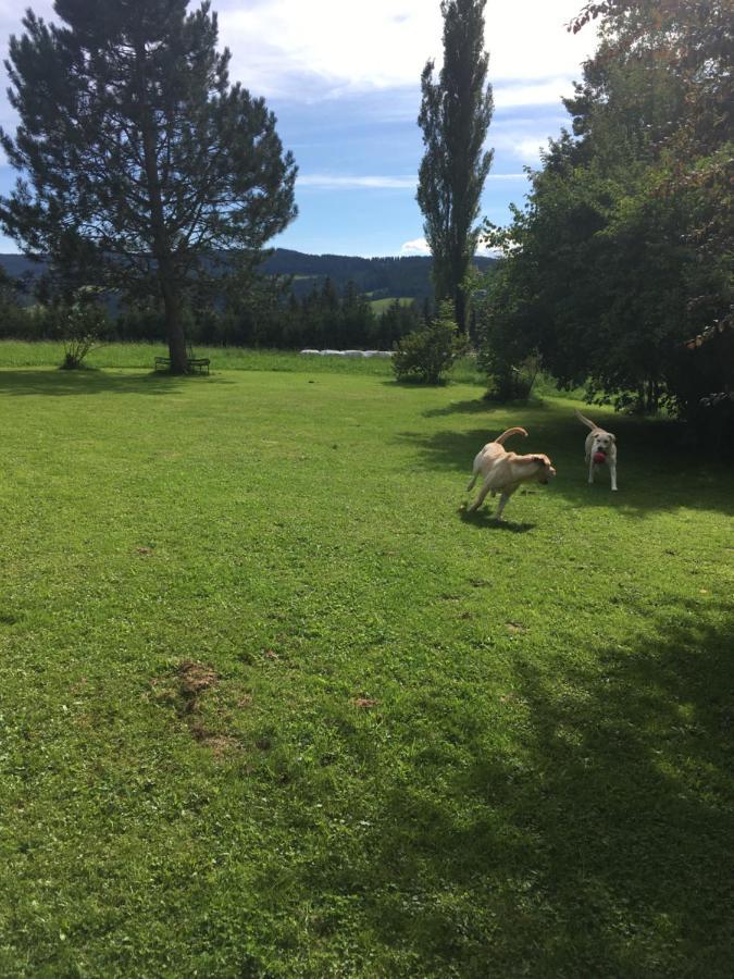 Naturforsthaus Gartenblick Fuer Hunde - Und Naturverbundene Menschen Preitenegg Екстер'єр фото