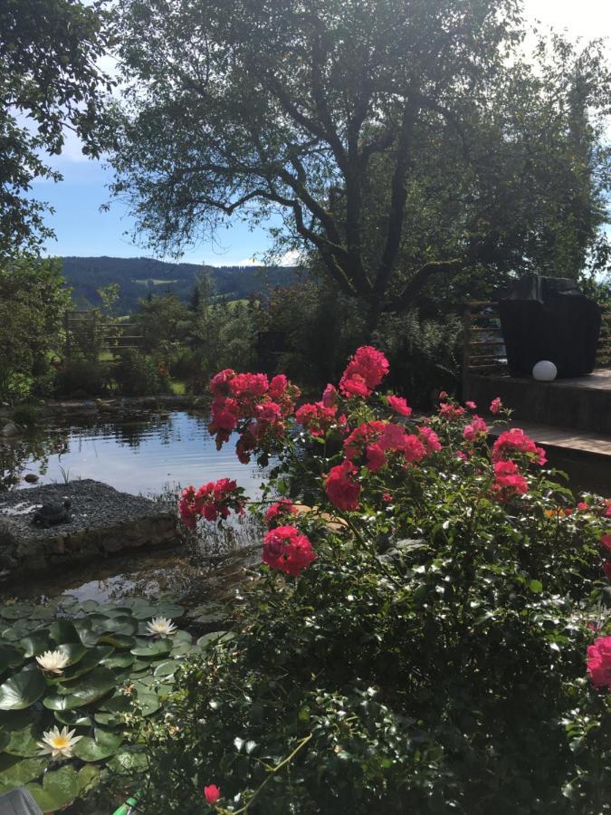 Naturforsthaus Gartenblick Fuer Hunde - Und Naturverbundene Menschen Preitenegg Екстер'єр фото